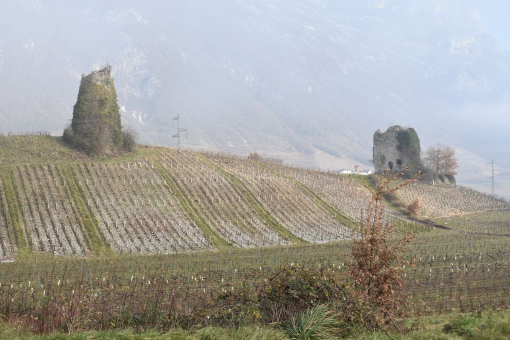 Balade dans les vignes de Chignin (73)