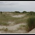 Les milieux naturels remarquables de la Baie de Somme