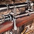 275 Rigby ou 7X57 : c'est du pareil au même