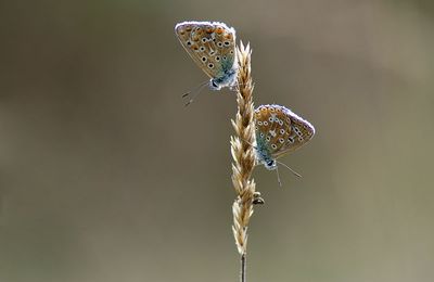 Trop souvent l'amour donné se pose en percepteur, et réclame à l'identique ce qu'il croit dispenser,