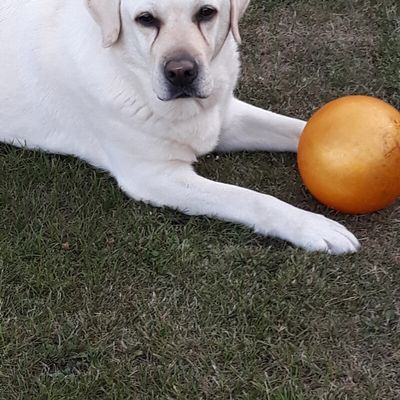 C'est qui la Star ??? 🤣