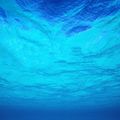 Mise au bleu