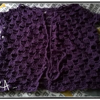 Un petit gilet, deux versions ...