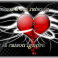 → Le coeur à ses raisons que la raison ignore`