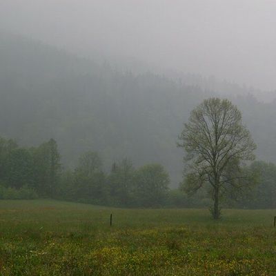 Où le mystère demeure...