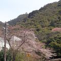 Gifu - Hikone