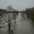 Pont Dauphine le 14 février 2018