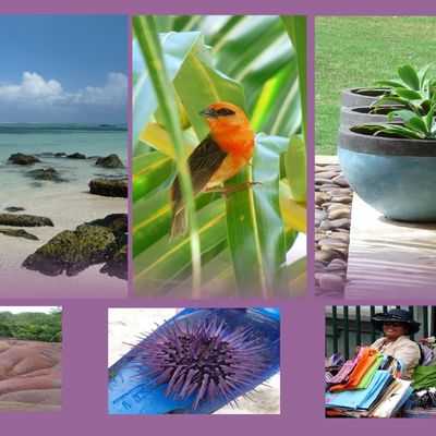 ...#4- Touch of colors