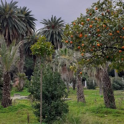 Samedi 22 février 2025 - PALERME - 4ème journée