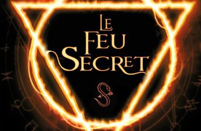 2015#72 : Le feu secret de C.J. Daugherty et Carina Rozenfeld