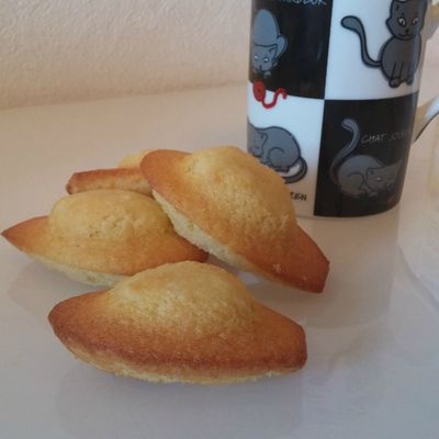 Les madeleines
