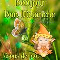 Bonjour les amies, bon dimanche