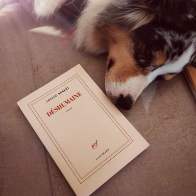 Déshumaine- Loulou Robert