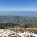 Découverte des Hermones - Col du Feu près de Thonon - 10 Avril 2016