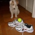 Des nouvelles tennis, 2 nouvelles balles de tennis et Cléo