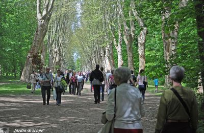 Fête des plantes au Domaine de Schoppenwihr