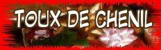 LES FAITS SUR LA TOUX DE CHENIL La grippe canine,