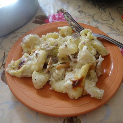 Recette d'entrée ou plat gratin de pâte aux champignons 