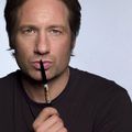 Californication - Saison 1