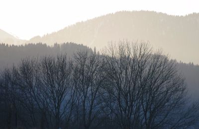 De l'incertitude de l'existence