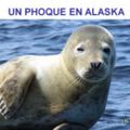 complainte du phoque en Alaska/F leclerc