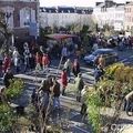 Une vieille tradition normande bien vivante: la FOIRE aux ARBRES de LISIEUX