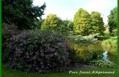 Le Parc Floral d'Apremont sur Allier (18)