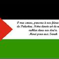 Soutien pour la Palestine