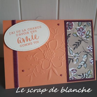 Jolies nouveautés !