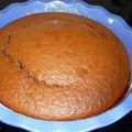 Gâteau au chocolat au lait à l'ancienne au TM31