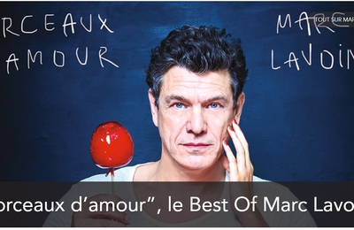 Morceaux d'amour - quand Marc Lavoine  fête en beauté 35 ans de chanson- 