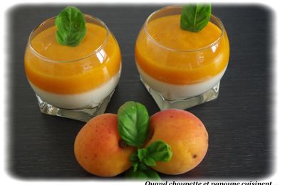 PANNA COTTA CHOCOLAT BLANC ET COULIS D'ABRICOTS