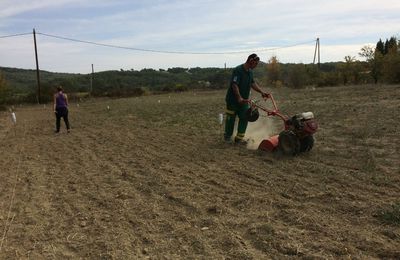 Travail d'équipe travail en famille 