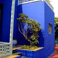 Majorelle et le jardin merveilleux