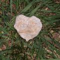 Coeur de pierre