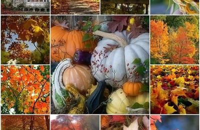 calendrier de l'Avent, jour 10 dernières couleurs d'automne ?