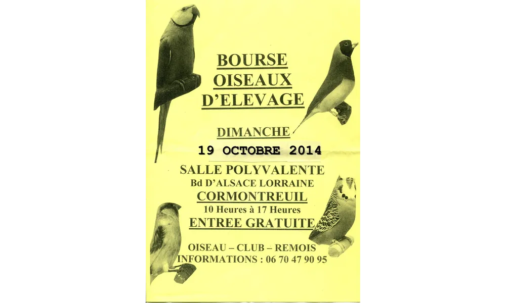 BOURSE AUX OISEAUX - CORMONTREUIL 2014