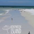 L'Ouest de la Floride: Sarasota, Palm Harbor et Honeymoon Island