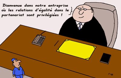 L'avenir  du  salariat . .