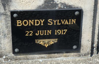 BONDY Sylvain (Mézières en Brenne) + 22/06/1917 Moronvilliers (51)