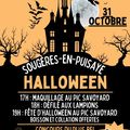 Rappel mardi 31 octobre 2023 à Sougères en Puisaye