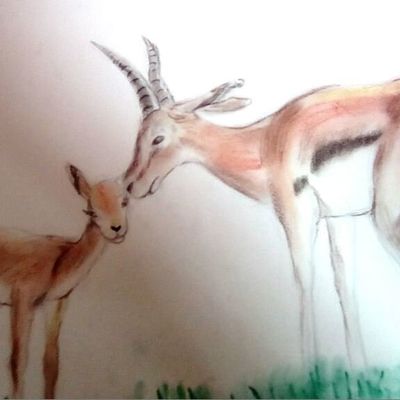 scène de tendresse de la vie animale