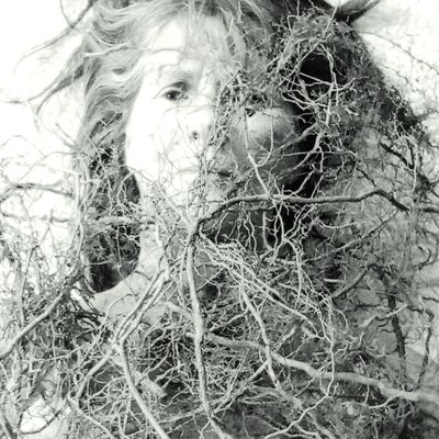 Où sont nos propres racines