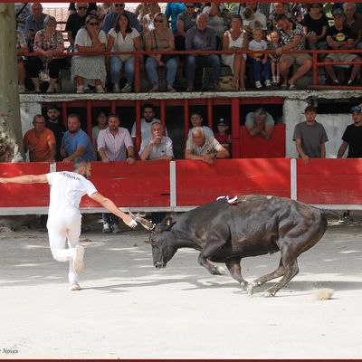 LES PALUDS DE NOVES