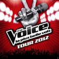 THE VOICE A TOULOUSE