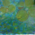 Petites nouvelles: plongée dans les étangs de Monet