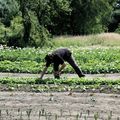 AVEC LE CCAS D'HIRSON, CULTIVER DES JARDINS POUR FAIRE POUSSER L'ESPOIR.