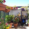 Rangement de mon balcon 