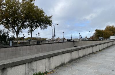 Quelques vues de Paris ...