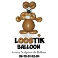 SCULPTEUR SUR BALLONS TOULOUSE ( 31 )